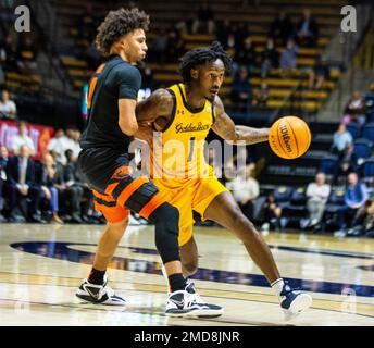 Haas Pavilion Berkeley Calif, USA. 22nd Jan, 2023. CA U.S.A. durante la partita di pallacanestro degli uomini NCAA tra gli Oregon state Beavers e gli orsi d'oro della California nel primo tempo all'Haas Pavilion Berkeley Calif. Thurman James/CSM/Alamy Live News Foto Stock