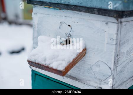 Ingresso dell'alveare coperto da uno spesso strato di neve. Alveari in giardino nel fondo invernale della neve. Svernare le api in luna di miele all'aria aperta fuori dall'inverno Foto Stock