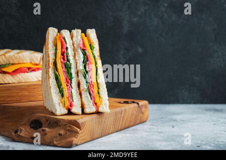 Due panini fatti in casa con salsiccia, formaggio e rucola su un fondo di cemento chiaro Foto Stock