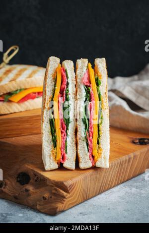 Due panini fatti in casa con salsiccia, formaggio e rucola su un fondo di cemento chiaro Foto Stock