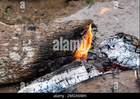 Carboni decadenti e carboni brucianti per la cottura , tronchi di legno brucianti e luminosi con fiamme di fuoco gialle calde. Foto Stock