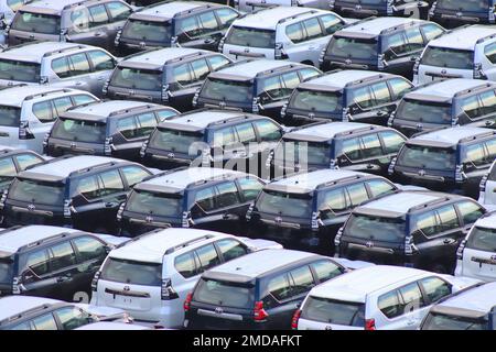 Griglia visiva composta da oltre seicento SUV Toyota Land Cruiser Prado in deposito veicoli al porto di Zeebrugge in attesa di distribuzione europea. Foto Stock