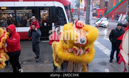 Toronto, Ontario, Canada. 23rd Jan, 2023. Una squadra di ballo leone si reca in diversi negozi della Chinatown di Toronto per celebrare il Capodanno lunare il primo giorno dell'anno del coniglio domenica 22 gennaio 2023. (Credit Image: © Winston Tang/ZUMA Press Wire) SOLO PER USO EDITORIALE! Non per USO commerciale! Credit: ZUMA Press, Inc./Alamy Live News Credit: ZUMA Press, Inc./Alamy Live News Foto Stock