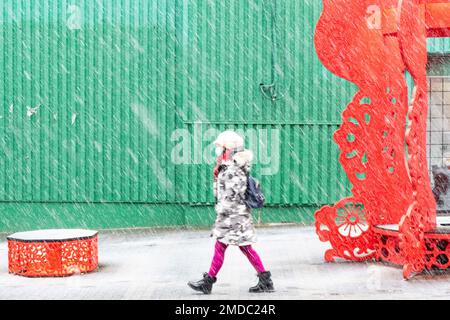 Toronto, Ontario, Canada. 23rd Jan, 2023. La gente festeggia il Capodanno lunare il primo giorno dell'anno del coniglio a Chinatown di TorontoÃ¢â‚¬â„¢domenica 22 gennaio 2023. (Credit Image: © Winston Tang/ZUMA Press Wire) SOLO PER USO EDITORIALE! Non per USO commerciale! Credit: ZUMA Press, Inc./Alamy Live News Credit: ZUMA Press, Inc./Alamy Live News Foto Stock