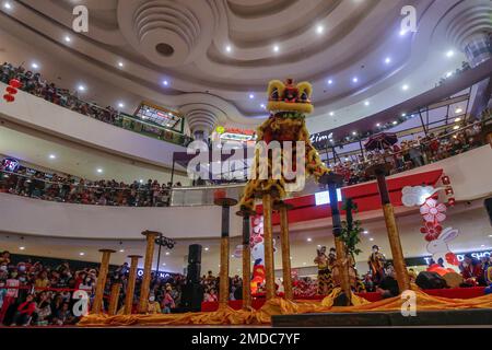 Bogor, Indonesia. 22nd Jan, 2023. Uno spettacolo di danza del leone intrattiene i visitatori durante i festeggiamenti del Capodanno lunare in un centro commerciale a Bogor, Giava Occidentale, Indonesia, il 22 gennaio 2023. (Foto di ANDI M RIDWAN/ INA PHOTO AGENCY/ Credit: Sipa USA/Alamy Live News Foto Stock