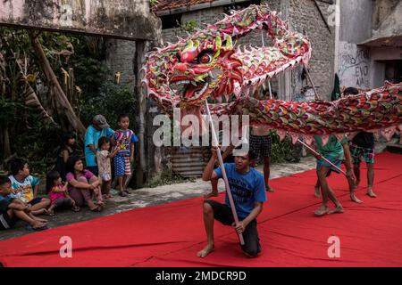 Bogor, Indonesia. 9th Jan, 2023. I membri di una troupe di danza drago prendono parte a una sessione di pratica di danza drago nota come 'Liong' durante i preparativi in vista del Capodanno lunare a Bogor.i paesi intorno al sud-est asiatico sono pronti ad accogliere un vivace Capodanno cinese, Il primo giorno del nuovo anno lunare, il 22 gennaio, inaugurerà l'anno del coniglio d'acqua. (Credit Image: © Garry Lotulung/SOPA Images via ZUMA Press Wire) SOLO PER USO EDITORIALE! Non per USO commerciale! Foto Stock