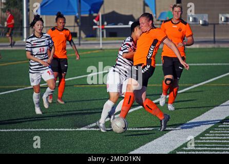 Paesi Bassi Rivke Draaijea spinge i difensori del passato nella partita 12 del Conseil International du Sport Militaire (CISM) World Women's Military Football Championship 13th, ospitato dalla base dell'aeronautica di Fairchild a Spokane, Washingon. Il campionato di quest'anno comprende squadre provenienti da Stati Uniti, Belgio, Camerun, Canada, Francia, Germania, Irlanda, Mali, Paesi Bassi e Corea del Sud. (Dipartimento della Difesa Foto di Steven Dinote, rilasciato). Foto Stock