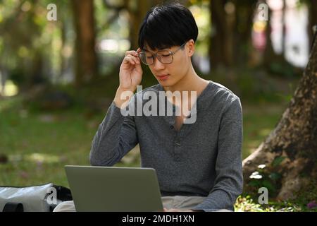 Studente asiatico intelligente che fa i compiti a casa, utilizzando il computer portatile contro il tranquillo parco naturale nelle giornate di sole. Tecnologia e concetto di istruzione Foto Stock