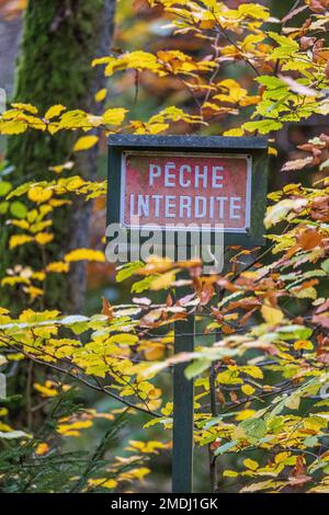 Panneau Pêche interdite, Francia, Mosella, automne Foto Stock