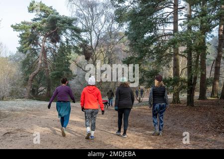 Quattro giovani donne che fanno una passeggiata in campagna a gennaio o in inverno, Surrey, Inghilterra, Regno Unito Foto Stock