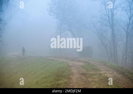 Italia, Lombardia, campagna vicino a Crema, Woman Walking in una Foggy Winter Day Foto Stock