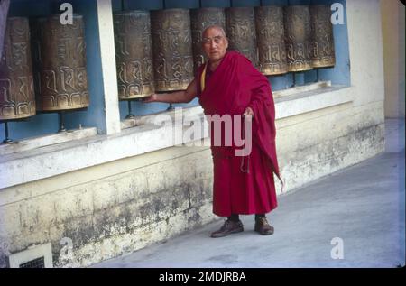 Situato nella regione occidentale dell'Himachal, Dharamshala è un nome di spicco nel tour buddista dello stato, come casa del Dalai lama e di tutti i tibetani in esilio. E' un centro ben noto per studiare il Buddismo, i suoi sutra, tantra e i principali testi ad esso correlati. Fin da quando il Dalai lama e il suo entourage sono sfuggiti all'invasione cinese del Tibet in 1959 e sono stati concessi una nuova sede nel distretto di Dharamsala, Dharamshala è la capitale invernale di Himachal Pradesh, India. Foto Stock