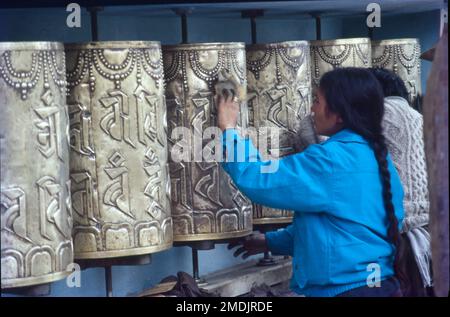 Situato nella regione occidentale dell'Himachal, Dharamshala è un nome di spicco nel tour buddista dello stato, come casa del Dalai lama e di tutti i tibetani in esilio. E' un centro ben noto per studiare il Buddismo, i suoi sutra, tantra e i principali testi ad esso correlati. Fin da quando il Dalai lama e il suo entourage sono sfuggiti all'invasione cinese del Tibet in 1959 e sono stati concessi una nuova sede nel distretto di Dharamsala, Dharamshala è la capitale invernale di Himachal Pradesh, India. Foto Stock