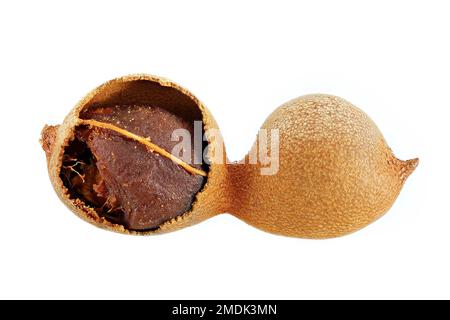 Tamarindus indica, Tamarind, Tamarindenbaum, primo piano, frutta Foto Stock