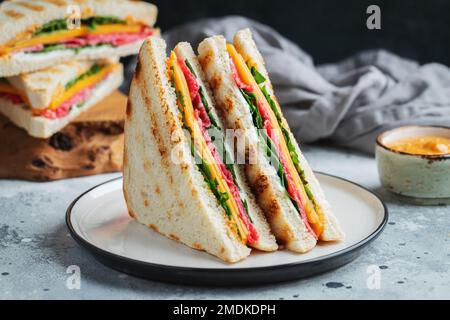 Due panini fatti in casa con salsiccia, formaggio e rucola su un fondo di cemento chiaro Foto Stock