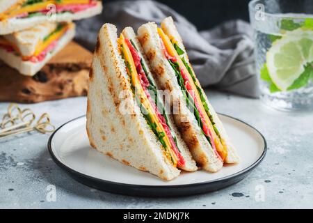 Due panini fatti in casa con salsiccia, formaggio e rucola su un fondo di cemento chiaro Foto Stock