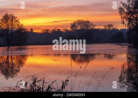 Il lago a Waverley House vicino a Farnham al tramonto in una serata gelida a gennaio. Foto Stock