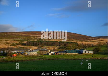 Fell End Farm e Harrison caddero in Nether Wyresedale, Scorton, Lancashire Foto Stock