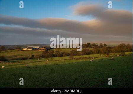 Potters Hill fattoria sopra Sorton in Nether Wyresedale, Lancashire Foto Stock