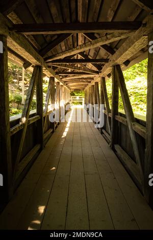 Il Ponte Sentinel Pine di Flume Gorge, in legno, alla base del Monte Liberty nel Franconia Notch state Park, New Hampshire, Stati Uniti Foto Stock