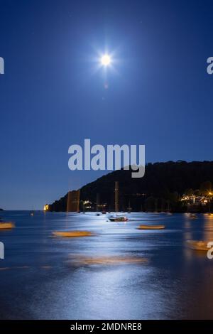 Regno Unito, Inghilterra, Devon, porto di Dartmouth con il castello lontano e barca ormeggiata di notte Foto Stock