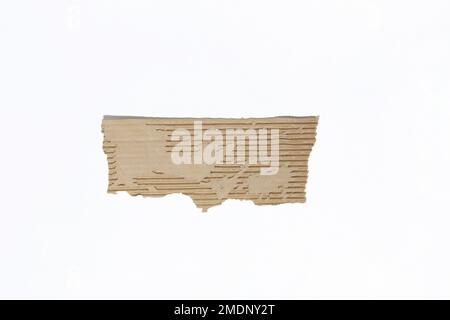 Fogli di carta vecchia strappati. Set di frammenti di carta vintage strappati. Foto Stock