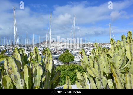 Lanzarote & Fortaventura, Isole Canarie, Spagna Foto Stock