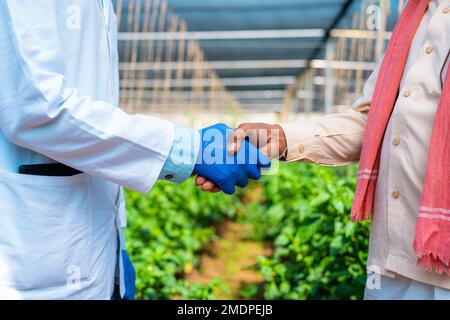 Primo piano shto di saluto agro scienziato scuotendo le mani al coltivatore indiano a serra - concPET di cooperazione, contratto o accordo e sostenibile Foto Stock