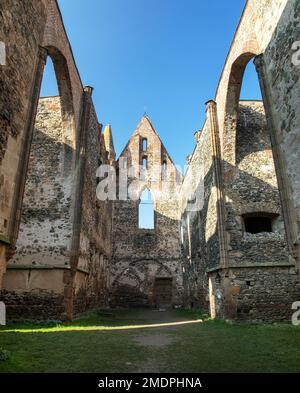 Rosa coeli, rovine della chiesa e del monastero, Dolni Kounice vicino alla città di Ivancice, Moravia meridionale, Repubblica Ceca Foto Stock