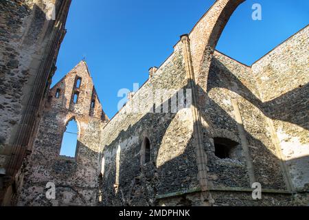 Rosa coeli, rovine della chiesa e del monastero, Dolni Kounice vicino alla città di Ivancice, Moravia meridionale, Repubblica Ceca Foto Stock