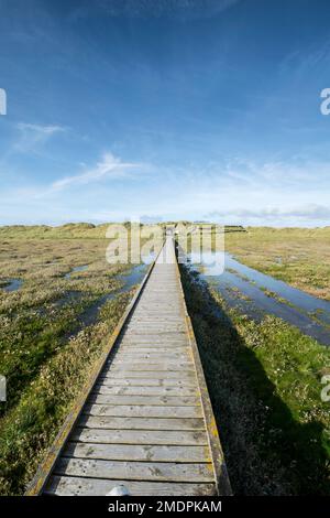 Riserva naturale di Gronant vicino a Prestatyn sulla costa del Galles del Nord che mostra la passeggiata a bordo fino alla piattaforma panoramica di Little Tern Foto Stock