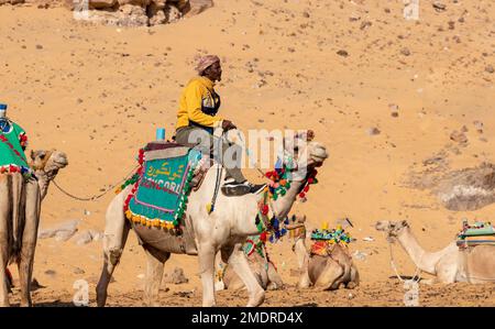 ASSUAN, EGITTO - 29 Dic 2022. Nubiano, arabo, egiziano con turbante, giro in cammello nel deserto con tradizionale sella colorata Foto Stock