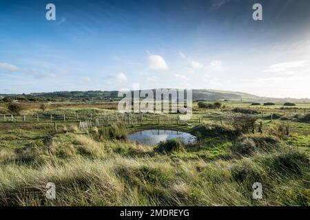 Riserva naturale di Gronant nei pressi di Prestatyn, sulla costa settentrionale del Galles Foto Stock