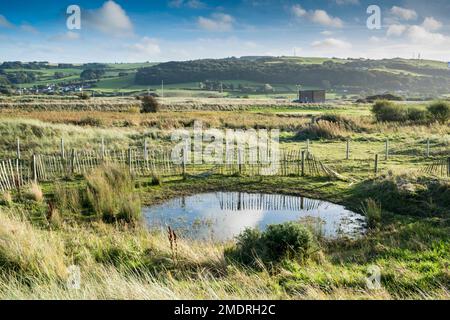 Riserva naturale di Gronant nei pressi di Prestatyn, sulla costa settentrionale del Galles Foto Stock