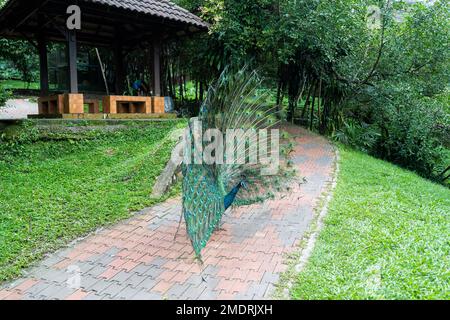 Kuala Lumpur, Malesia - 16th dicembre 2022 - Giardino degli Uccelli Foto Stock