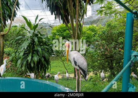 Kuala Lumpur, Malesia - 16th dicembre 2022 - Giardino degli Uccelli Foto Stock