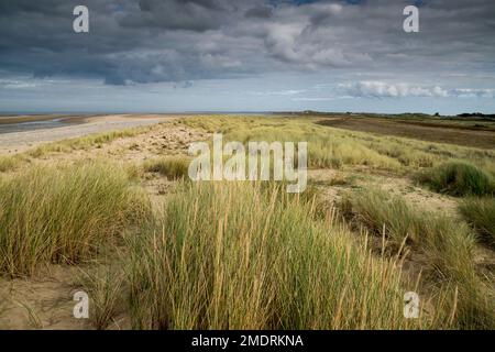 Riserva naturale di Gronant vicino a Prestatyn sulla costa del Galles del Nord guardando verso il faro di Talacre in lontananza Foto Stock