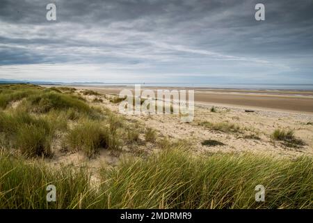 Riserva naturale di Gronant nei pressi di Prestatyn, sulla costa settentrionale del Galles Foto Stock