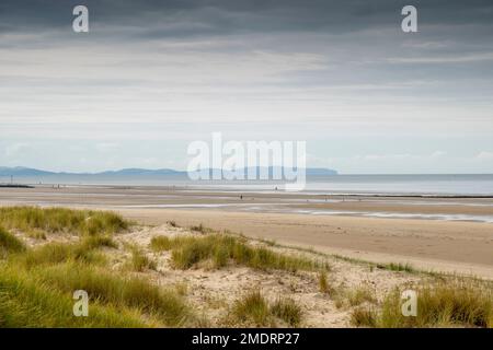 Riserva naturale di Gronant nei pressi di Prestatyn, sulla costa settentrionale del Galles Foto Stock