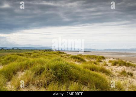 Riserva naturale di Gronant nei pressi di Prestatyn, sulla costa settentrionale del Galles Foto Stock