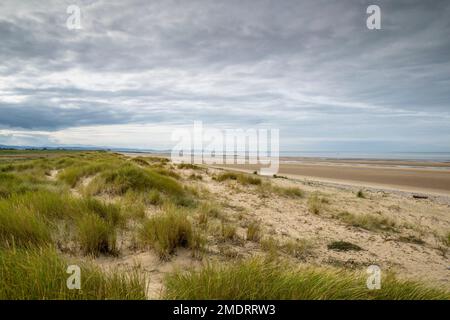 Riserva naturale di Gronant nei pressi di Prestatyn, sulla costa settentrionale del Galles Foto Stock