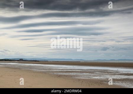 Riserva naturale di Gronant nei pressi di Prestatyn, sulla costa settentrionale del Galles Foto Stock