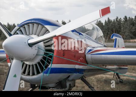 Aeroplani a terra in flyshow. Splendidi velivoli colorati in rosso, blu e cromo brillano al sole sul campo d'erba. Foto Stock