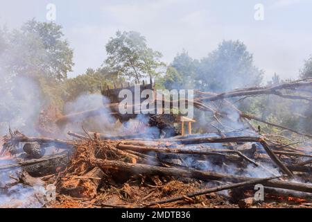 In cantiere un incendio della foresta sradicata per la costruzione di nuove case Foto Stock