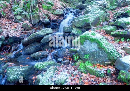 Cleddon Falls con una dispersione di neve nella Wye Valley Monmouthshire Wales UK, dicembre 2022 Foto Stock