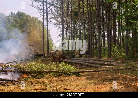 Cantiere di costruzione con foresta sradicata che è bruciata per costruire case Foto Stock