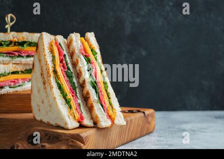 Due panini fatti in casa con salsiccia, formaggio e rucola su un fondo di cemento chiaro Foto Stock