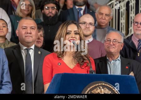 New York, Stati Uniti. 22nd Jan, 2023. Jenifer Rajkumar, membro dell'Assemblea dello Stato di New York, parla a una conferenza stampa per ricevere ulteriore aiuto dal governo federale per gestire i richiedenti asilo al City Hall Rotunda di New York. Il sindaco Adams, affiancato da sostenitori dell’immigrazione provenienti da tutta la città, invita il governo federale a nominare qualcuno che costruisca una strategia per diffondere i migranti e alleviare l’afflusso in città come New York. (Foto di Ron Adar/SOPA Images/Sipa USA) Credit: Sipa USA/Alamy Live News Foto Stock