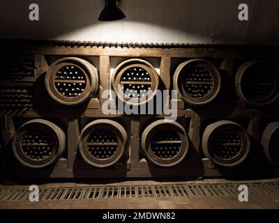 Vino cantina bassa illuminazione interna shot. Vecchi ripiani in legno con una collezione di bottiglie di vino. Investimento di denaro e vinificazione o consumo immagine concetto Foto Stock