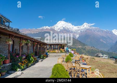 Ghandruk città, un luogo comune per escursioni nella gamma Annapurna del Nepal Foto Stock